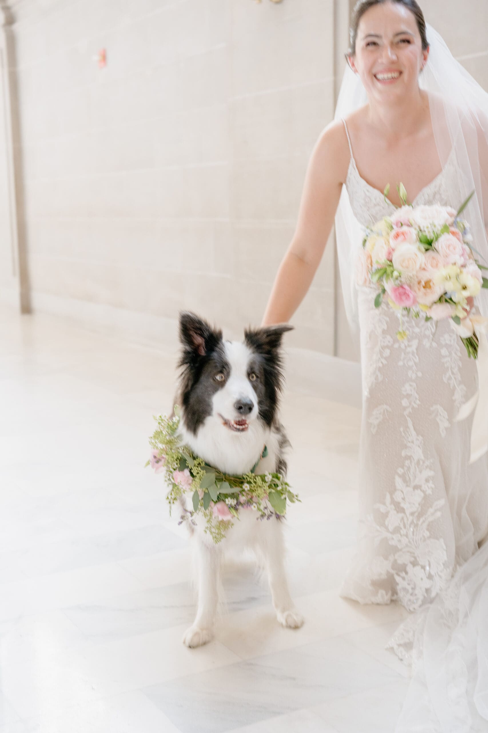 Newlyweds and their beloved dog on their wedding day in San Francisco City Hall
