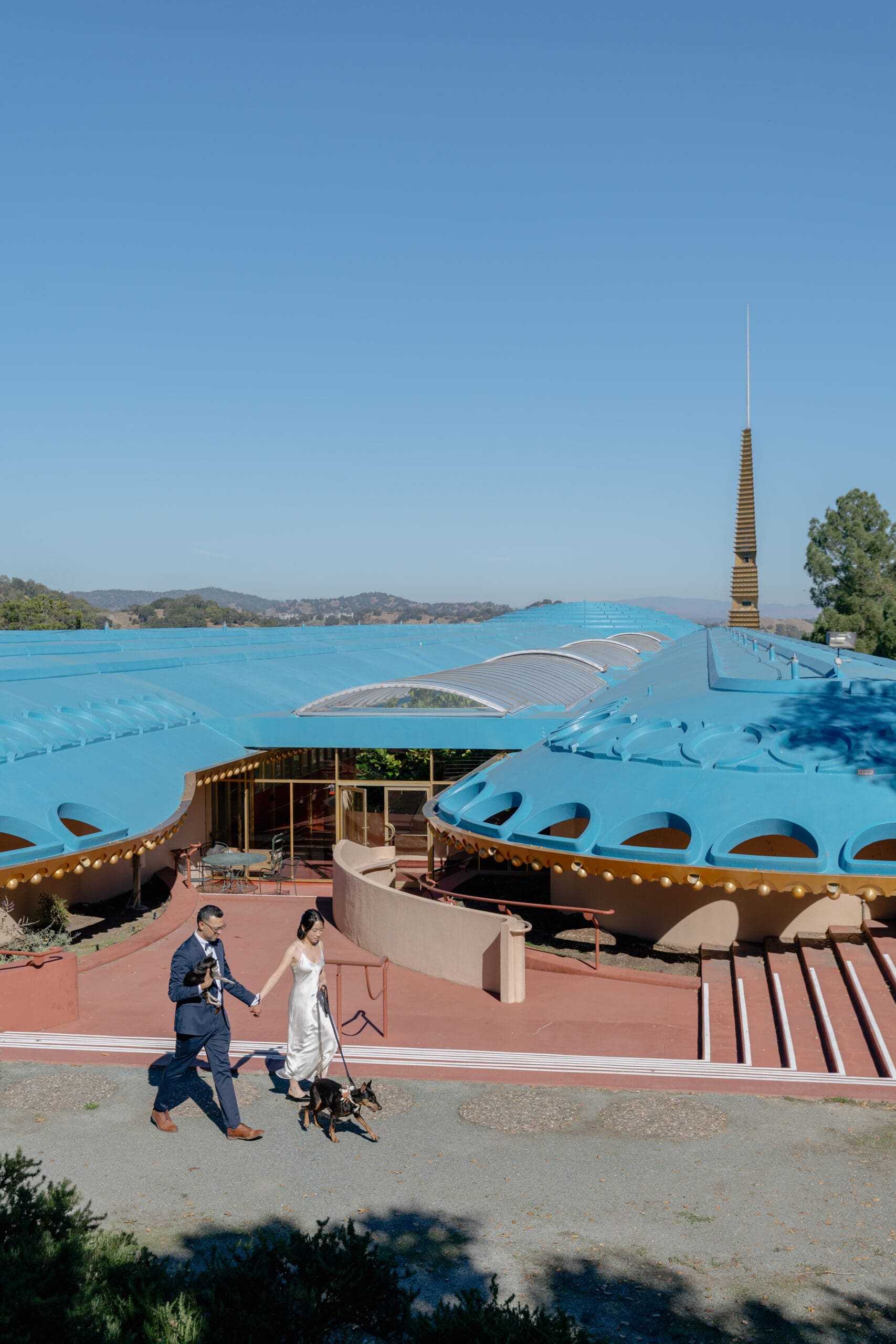 Elopement couple with their dogs at the Marin County Civic Center with blue roof and gold accents visible