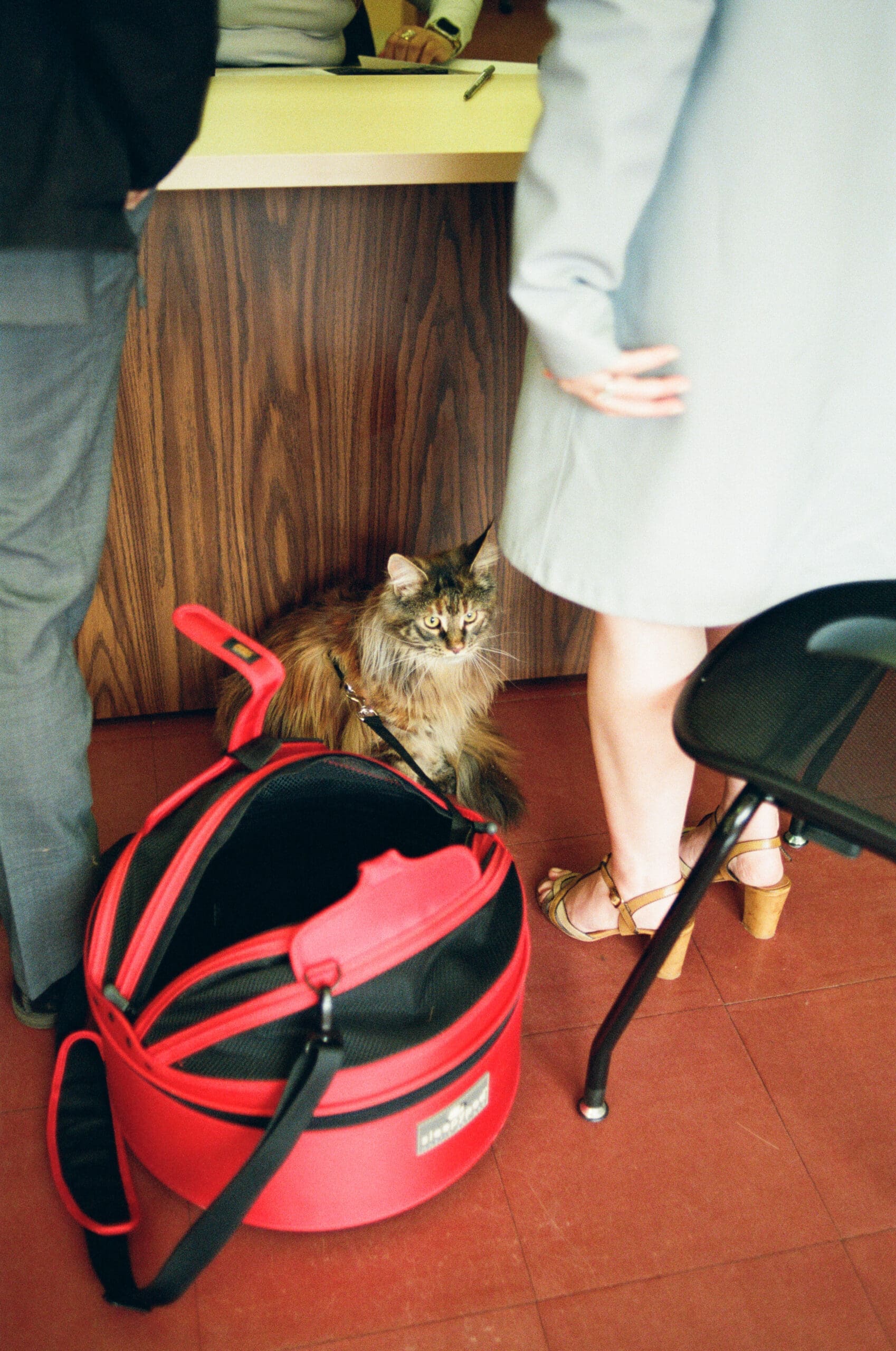 County Clerk's office in Marin on Film